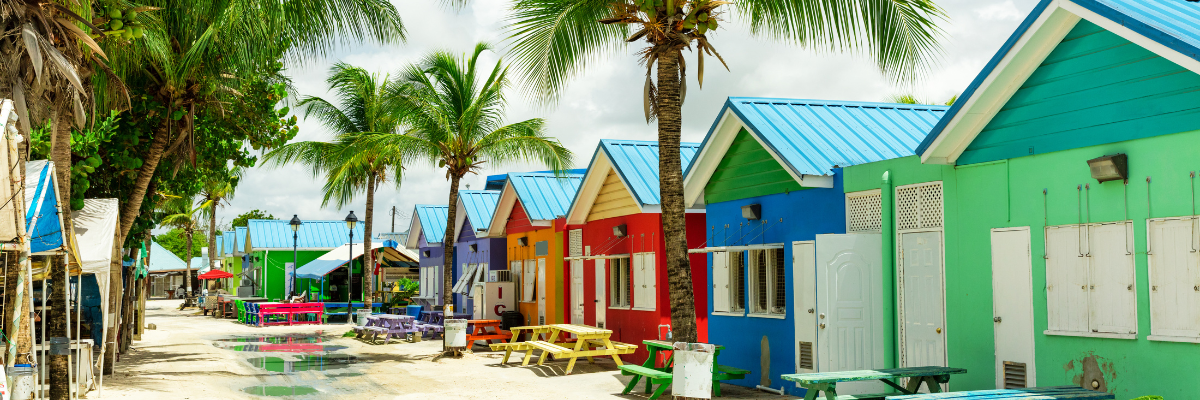 Colorful Caribbean homes with palm trees