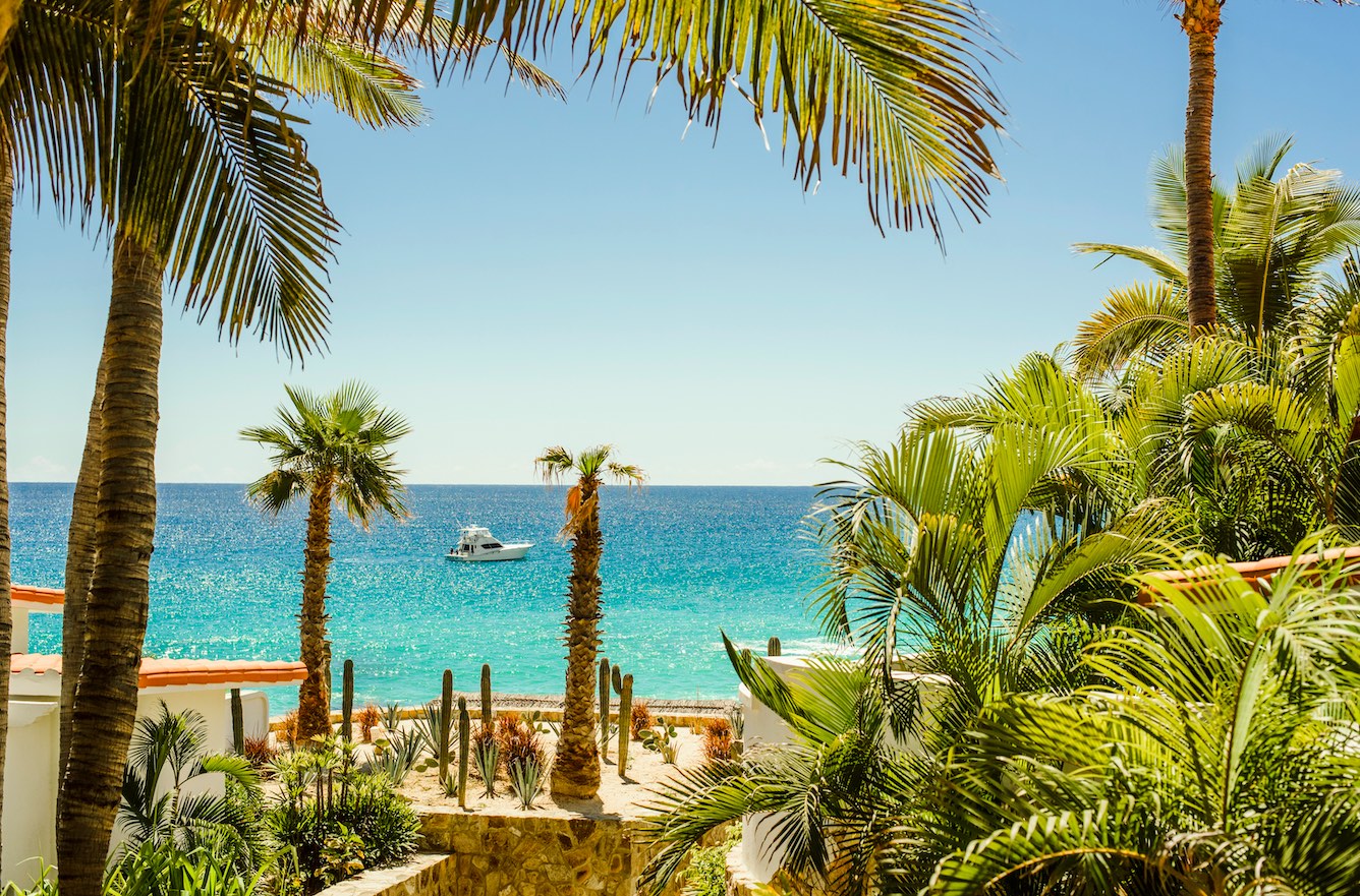 Cabo beach Palm trees and sea views in Cabo San Lucas Mexico during the day.