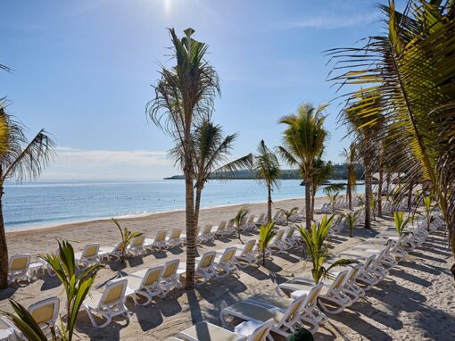 beach-xaq